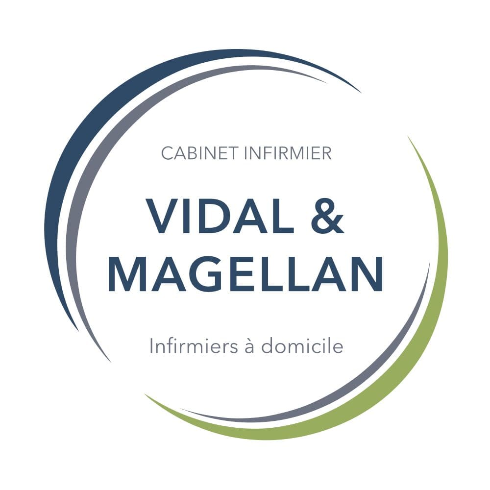 Logo final Vidal & Magellan